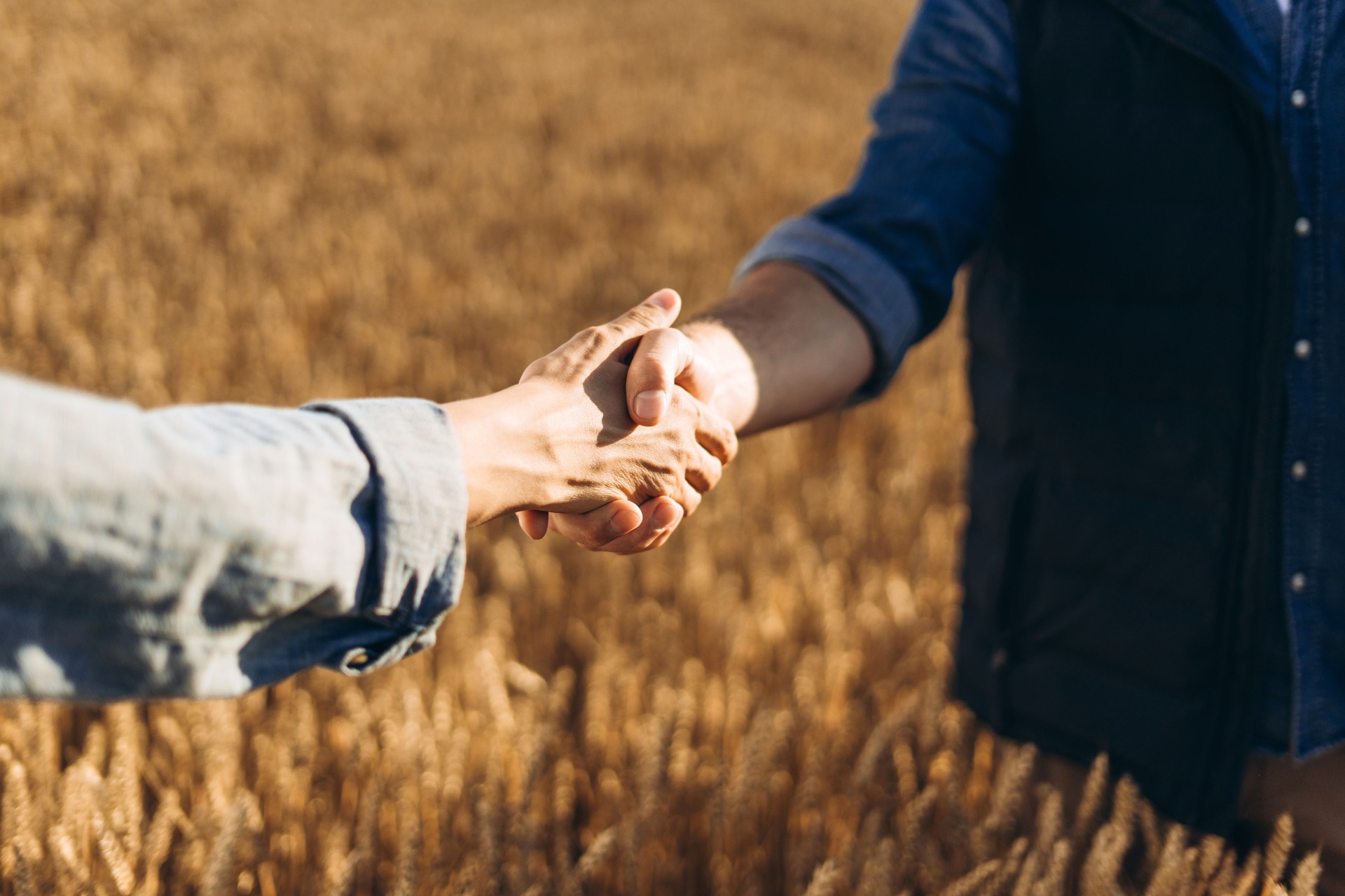 Farmers shaking hands in a wheat field, making a deal for the future of agriculture